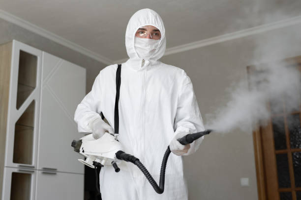 Best Biohazard Mold Removal  in Northwood, IA